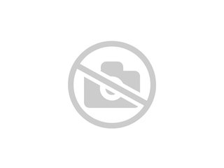 Из лиственницы